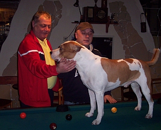 Iszkaicz Csaba & Pinto & Cs�nyi J�zsef